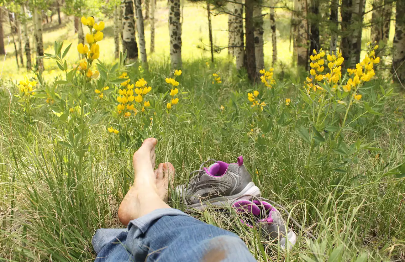 Resilienz im Sommer
